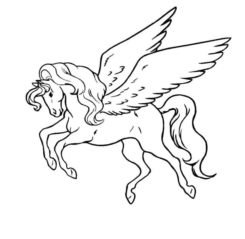 coloriage Chevaux pour enfant de 6 ans