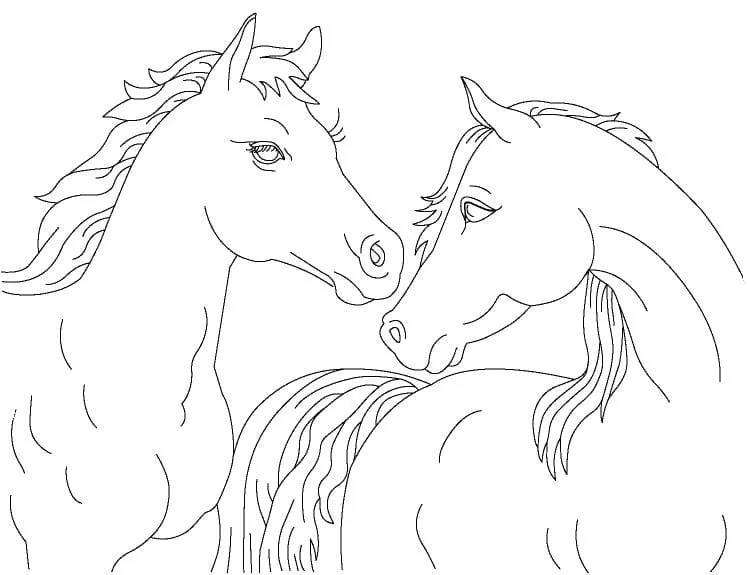 coloriage Chevaux a imprimer