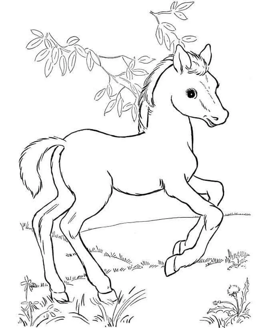 coloriage Chevaux pour bebe a imprimer