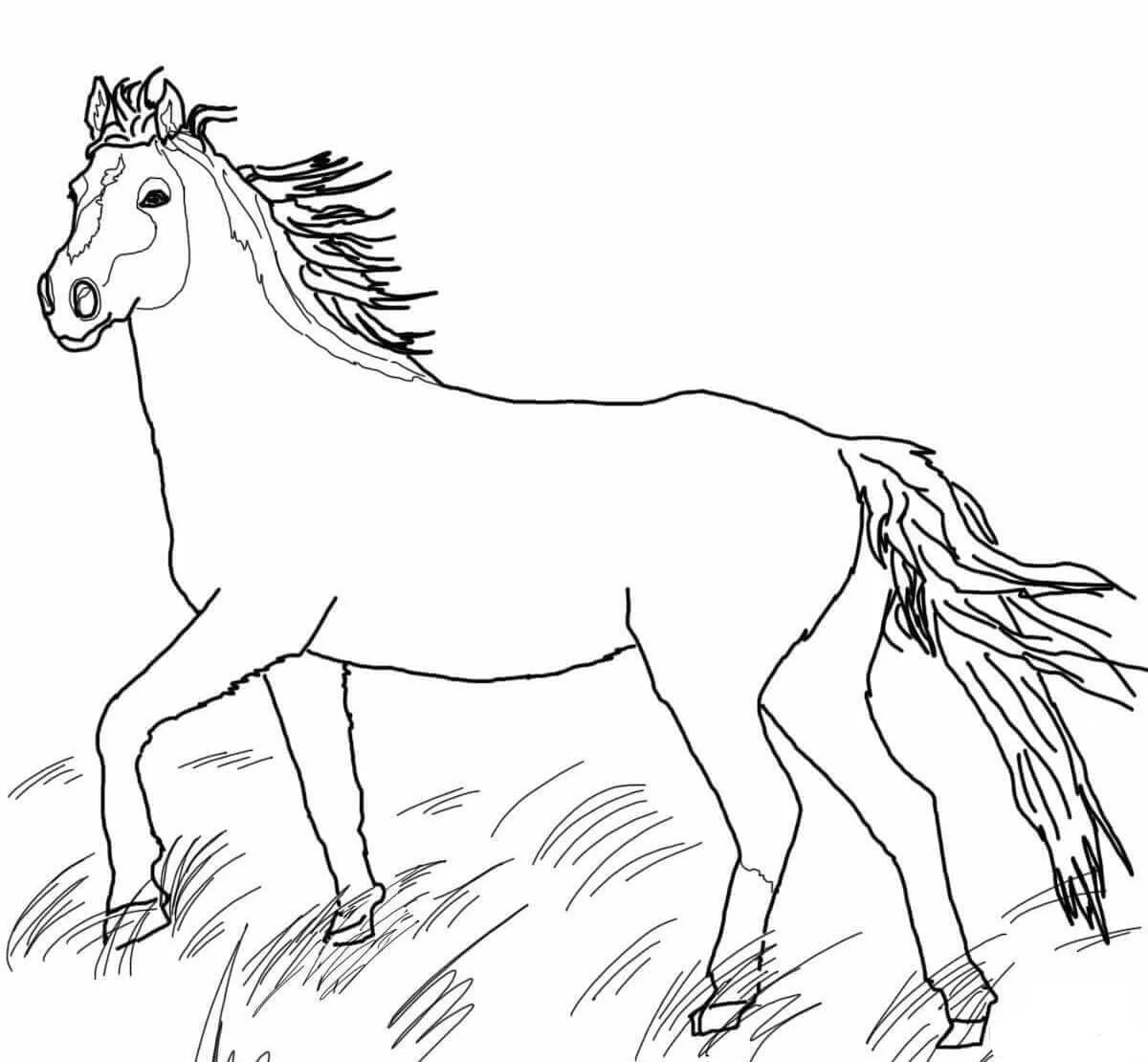 coloriage Chevaux à imprimer pour enfant de 3 ans