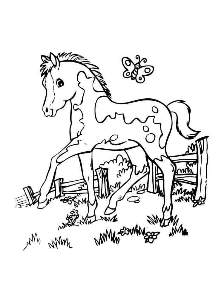 a imprimer coloriage Chevaux gratuit