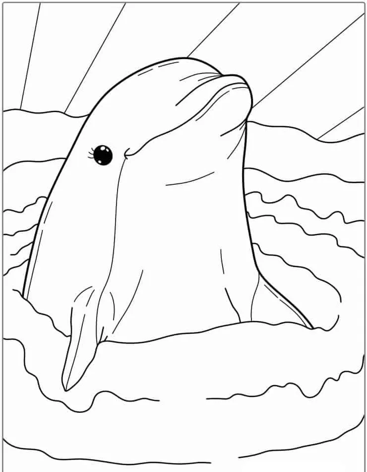 coloriage Dauphin pour enfant de 4 ans