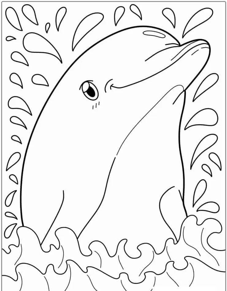 coloriage Dauphin et apprentissage 1