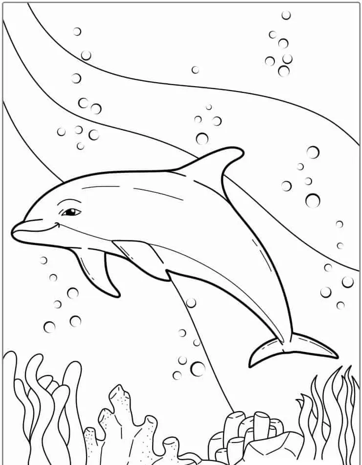 coloriage Dauphin pour primaire 1