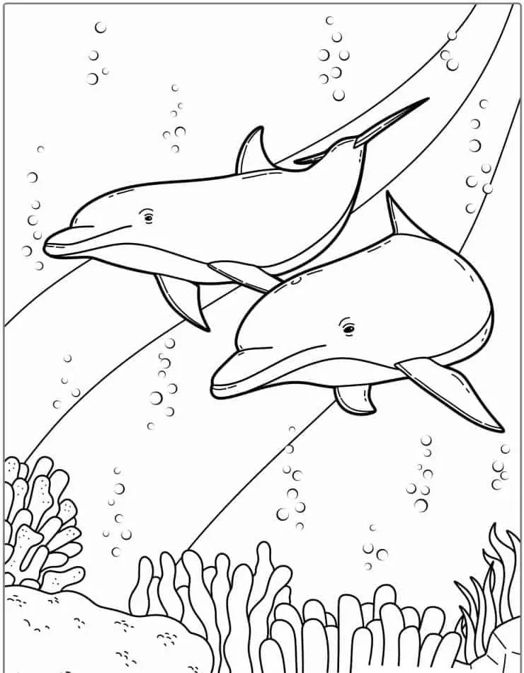 coloriage Dauphin a dessiner et imprimer 2