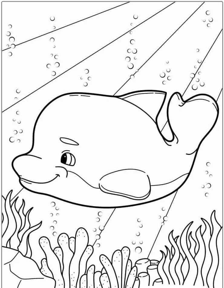 coloriage Dauphin pour enfant de 5 ans