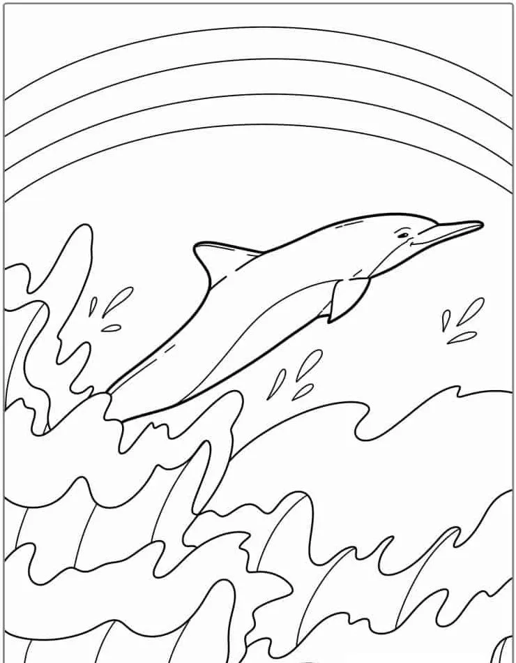 coloriage Dauphin à imprimer pour enfant de 12 ans