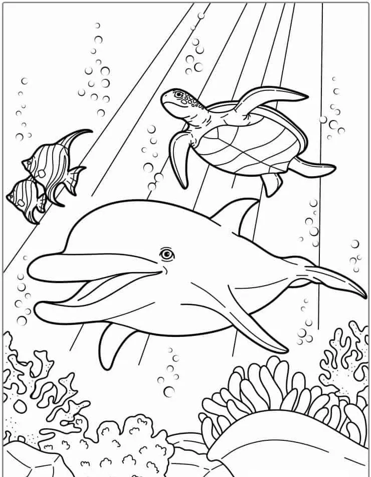 coloriage Dauphin gratuit à imprimer