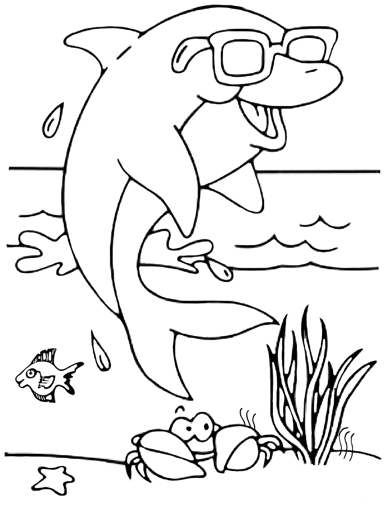 coloriage Dauphin a imprimer gratuit 1