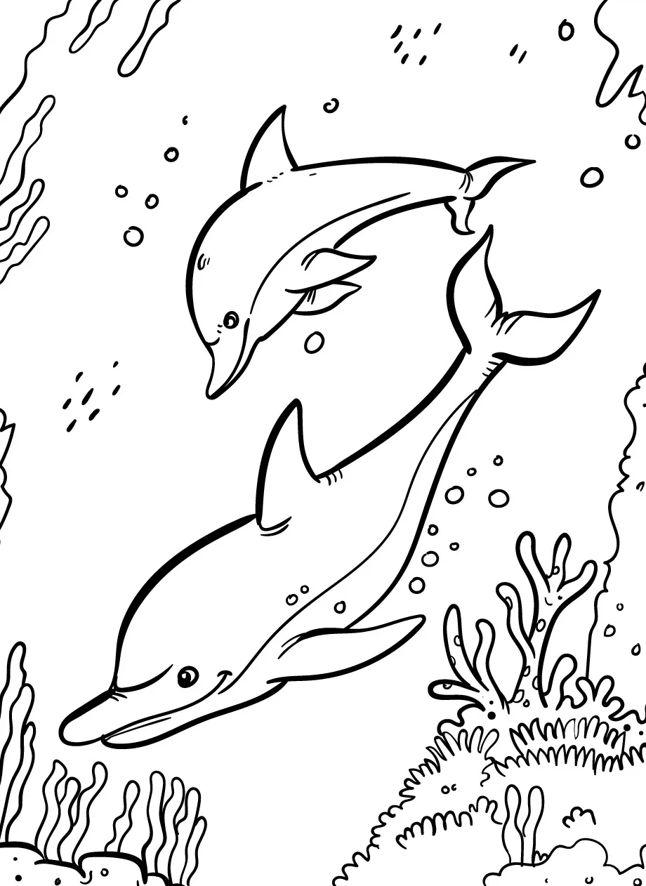 coloriage Dauphin educatif pour enfant 1