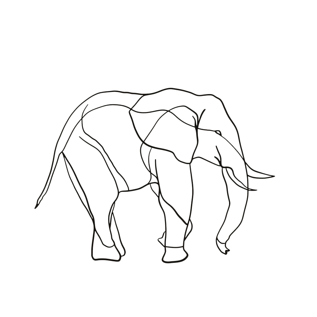 coloriage Elephant à imprimer pour enfant de 4 ans