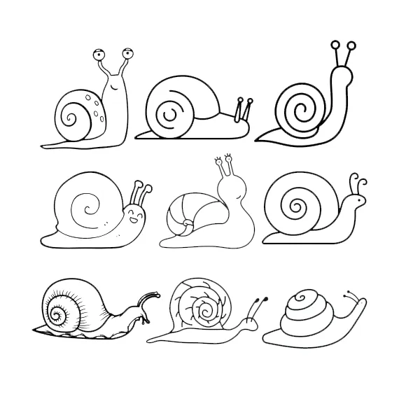 coloriage Escargot et decoupage