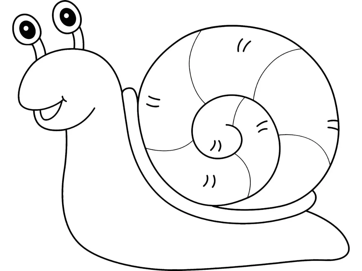 coloriage Escargot pour enfant de 10 ans