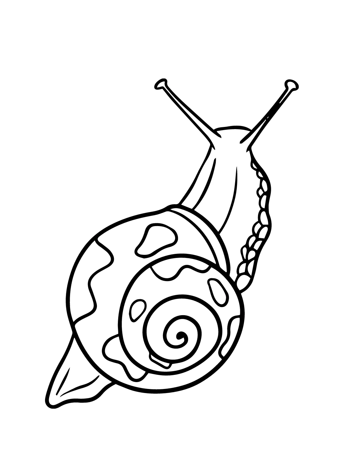 coloriage Escargot à imprimer pour enfant de 6 ans