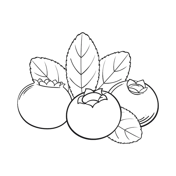 coloriage Légumes à imprimer pdf gratuit