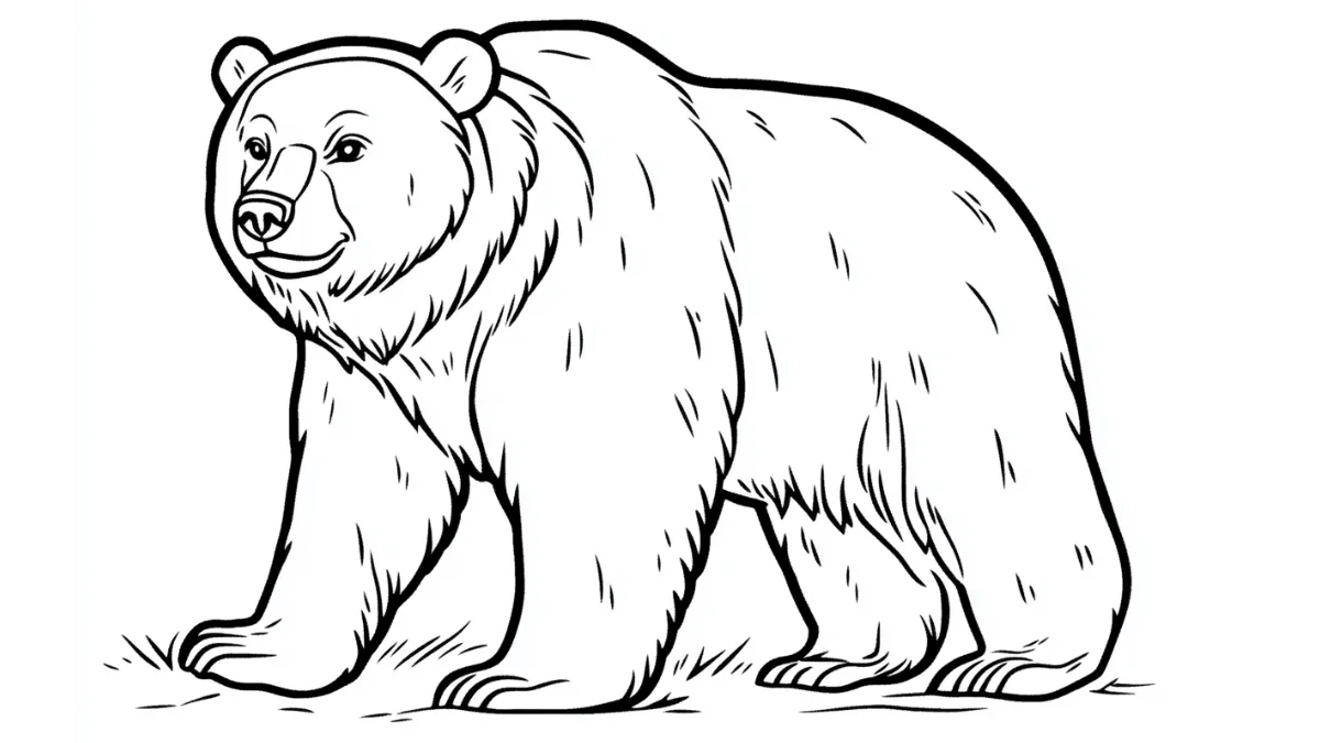 image de coloriage Ours pour enfant