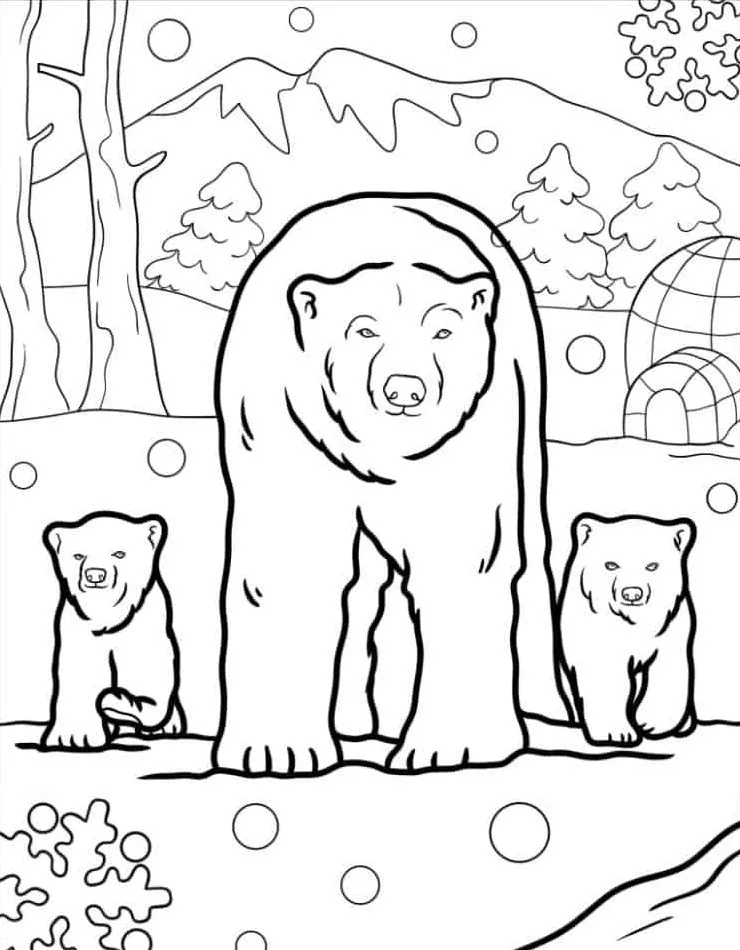 coloriage Ours à imprimer pdf