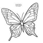 kupu-kupu