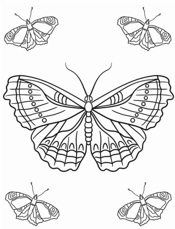 coloriage Papillon et apprentissage