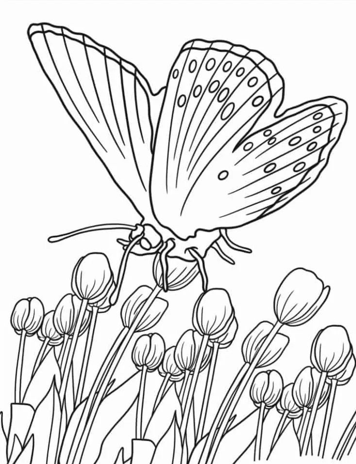 coloriage Papillon de pour enfants