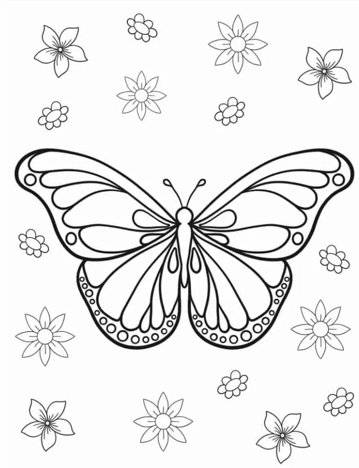 coloriage Papillon et découpage à imprimer