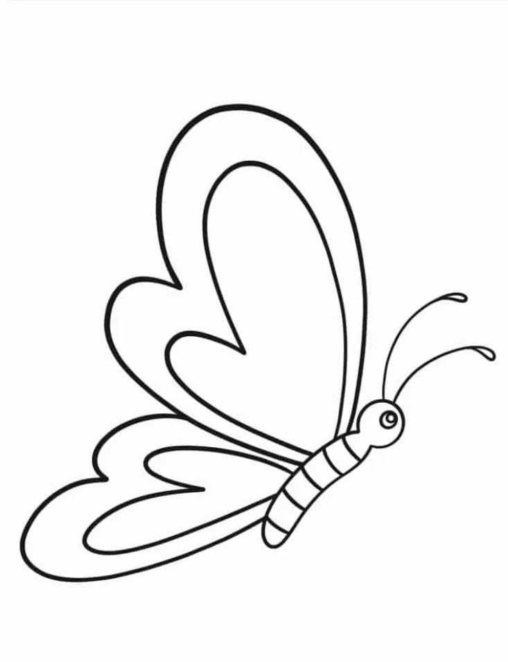 coloriage Papillon à imprimer pour enfants