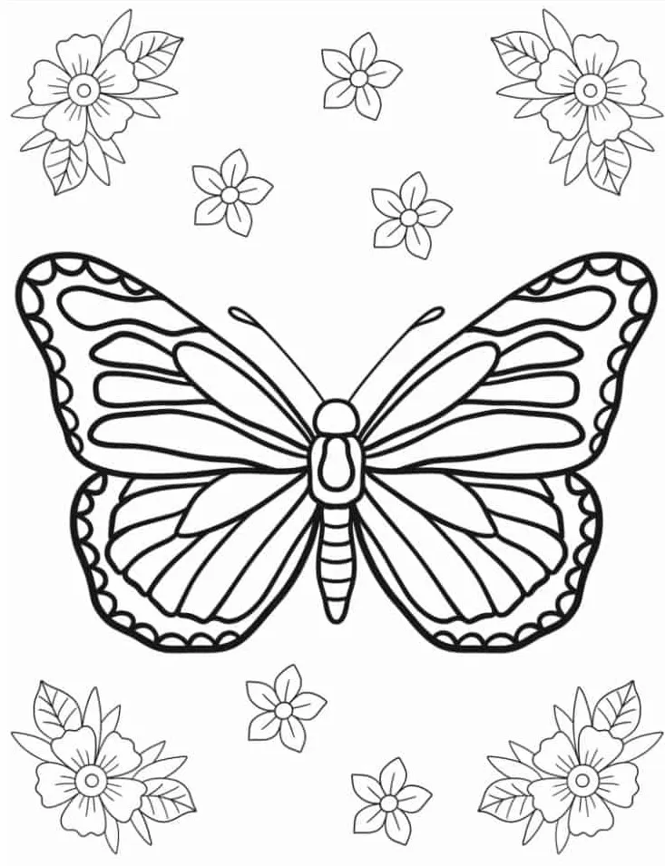 coloriage Papillon à imprimer pdf 1