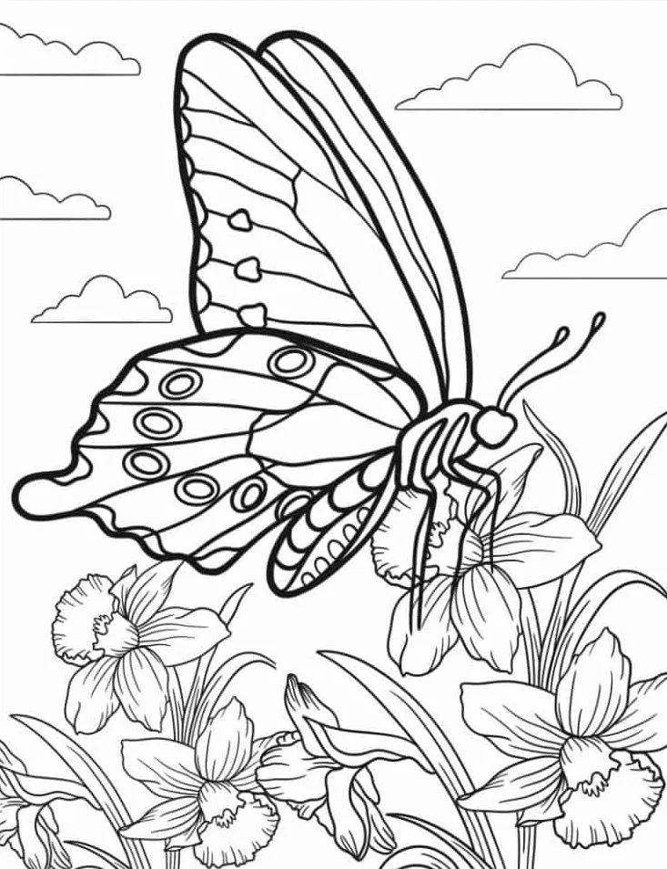 télécharger coloriage Papillon gratuit 1