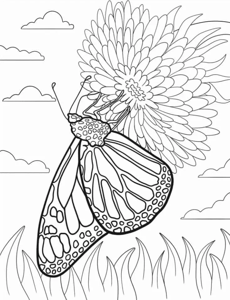 coloriage Papillon à imprimer pour enfant de 4 ans