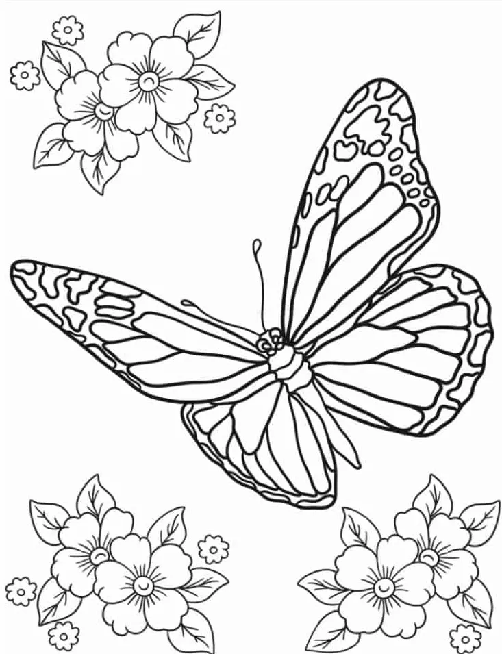 coloriage Papillon à imprimer pour enfant de 8 ans 1