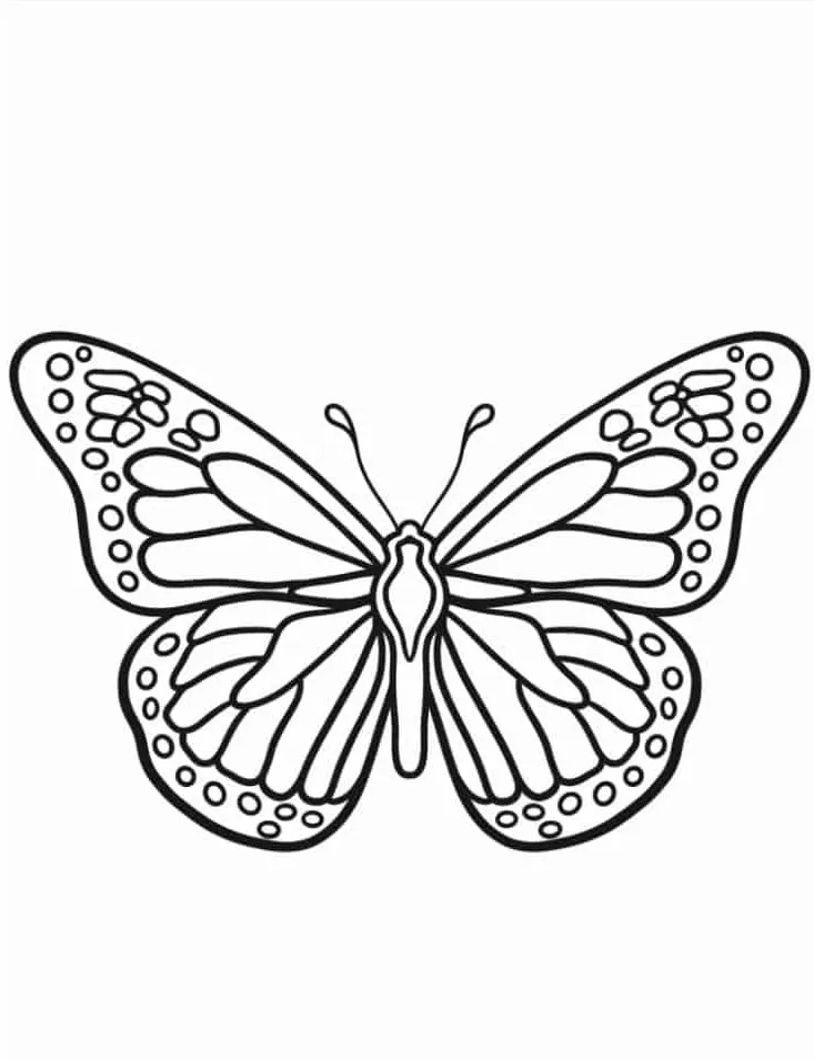 coloriage Papillon pour enfant de 6 ans 1