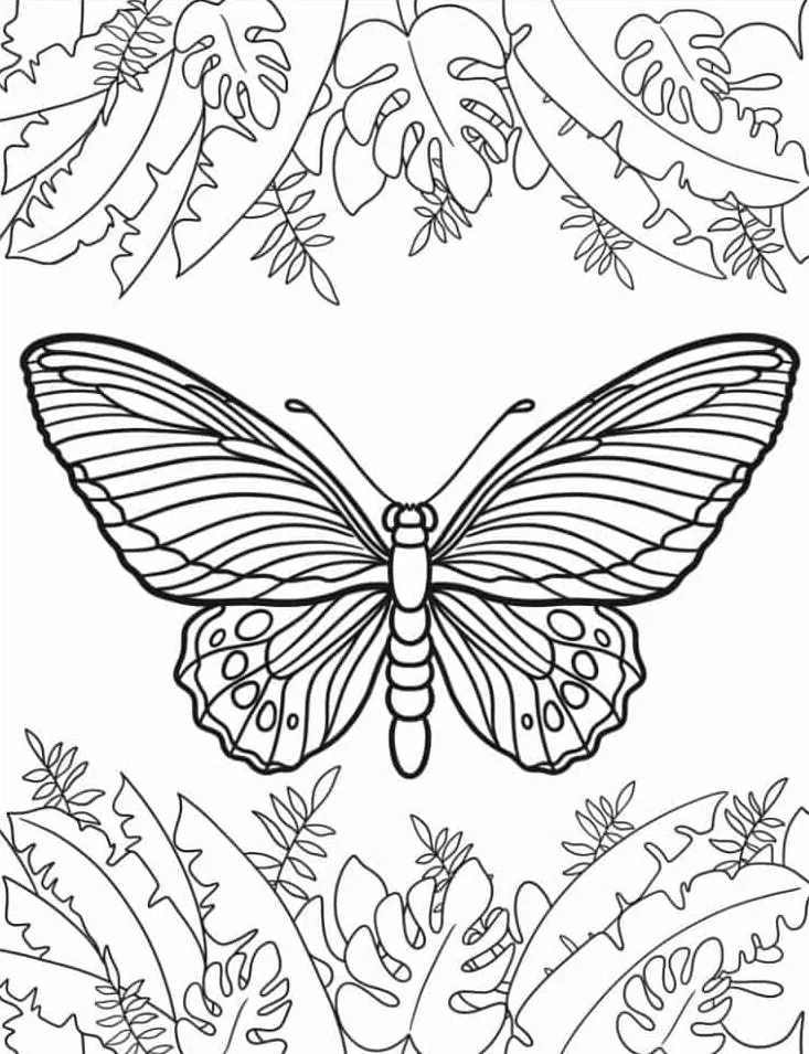 coloriage Papillon à imprimer pdf 2