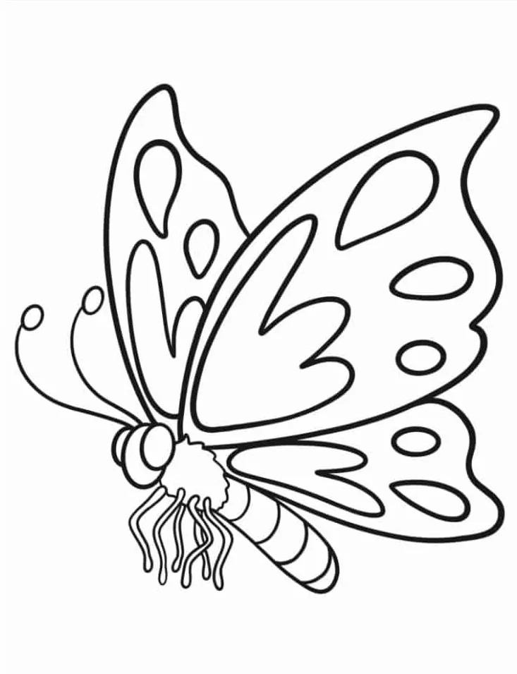 coloriage Papillon à imprimer pdf gratuit