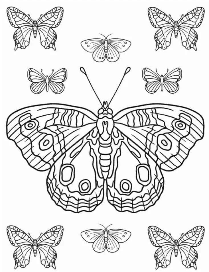 coloriage Papillon à imprimer gratuitement