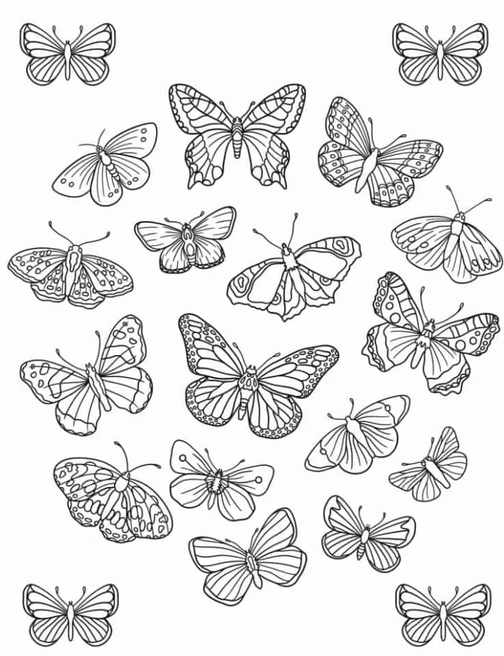 coloriage Papillon gratuit a imprimer 1