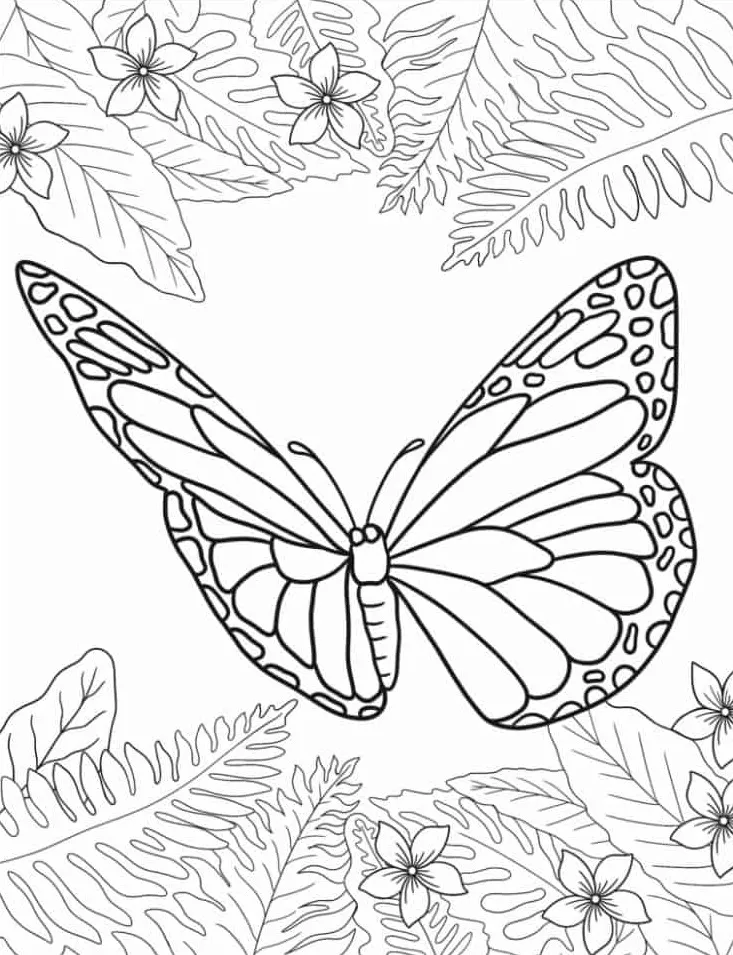 coloriage Papillon à imprimer pour enfant de 4 ans 1