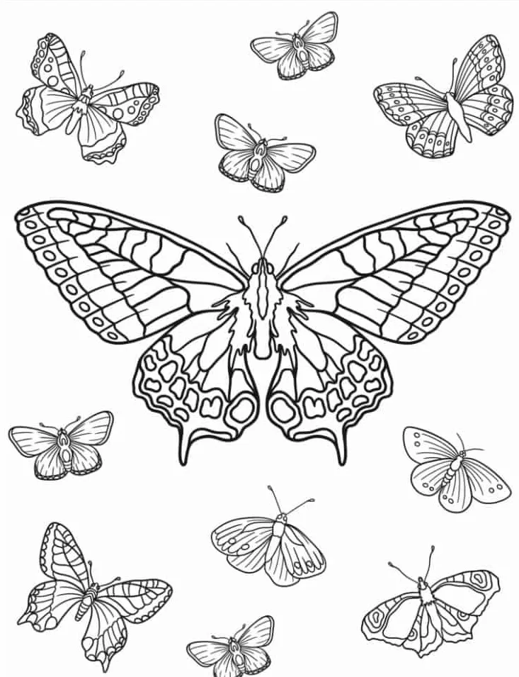 coloriage Papillon gratuit à imprimer 1