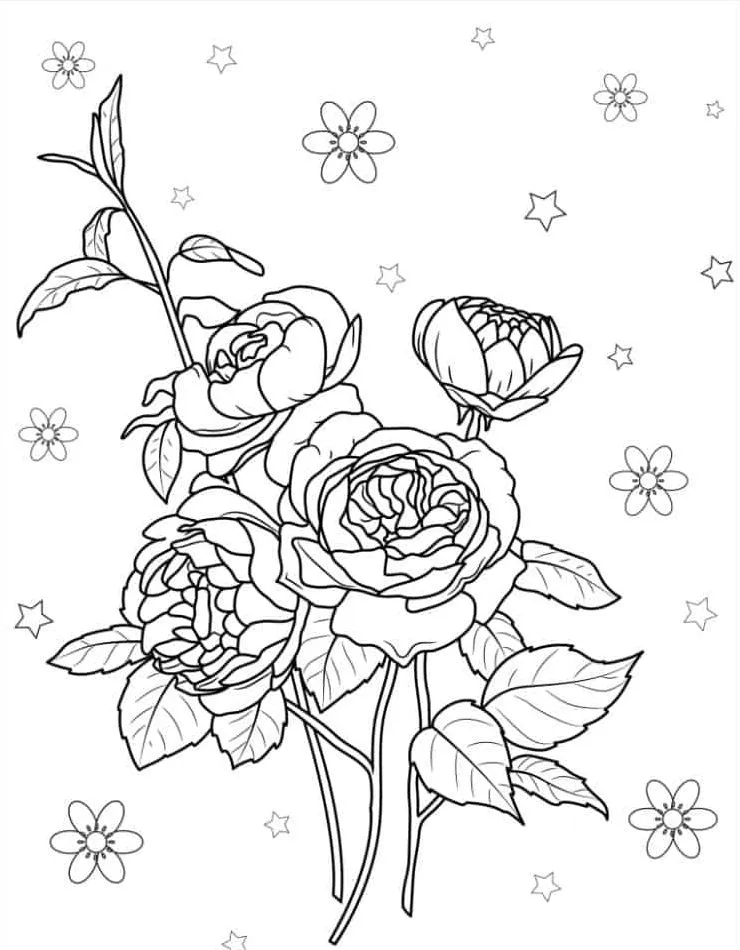 coloriage Rose et apprentissage