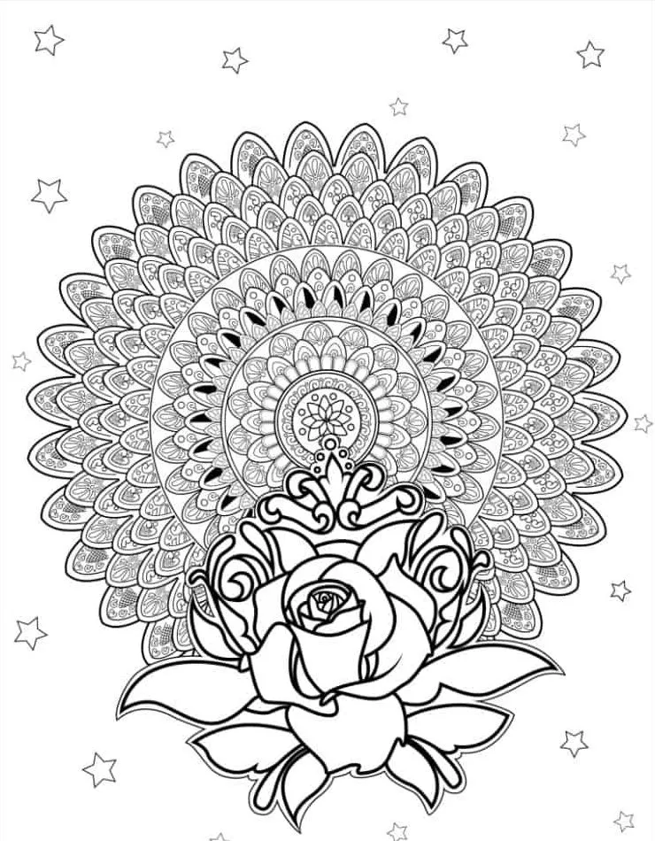 coloriage Rose pour primaire