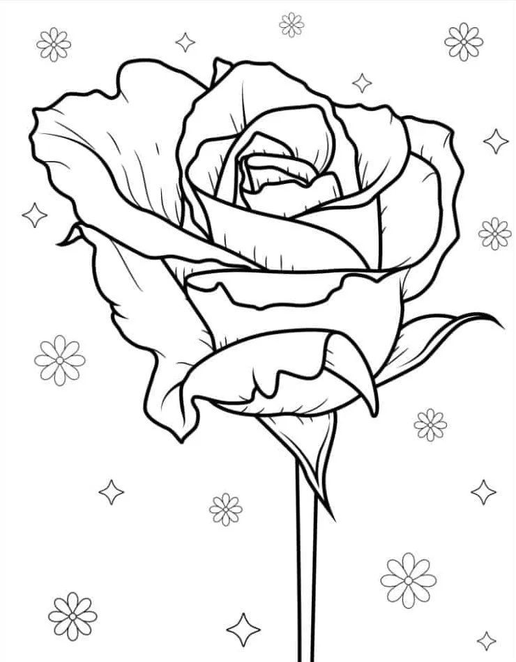 coloriage Rose gratuit a imprimer