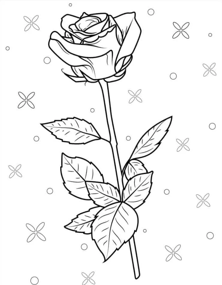 coloriage Rose à imprimer pdf gratuit 1