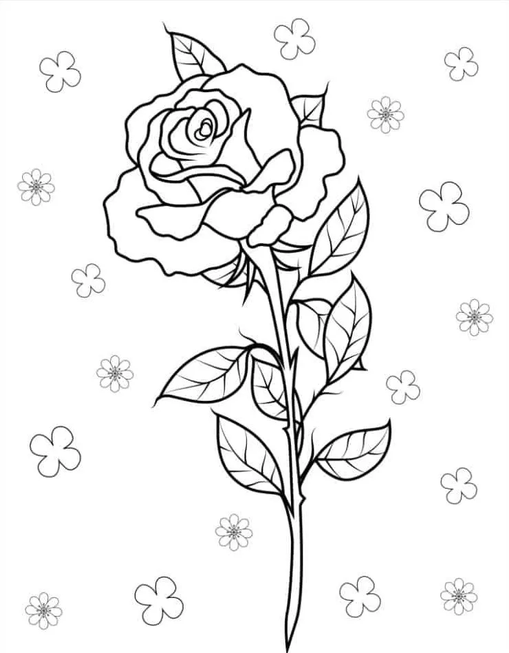 coloriage Rose pour enfant a imprimer gratuit