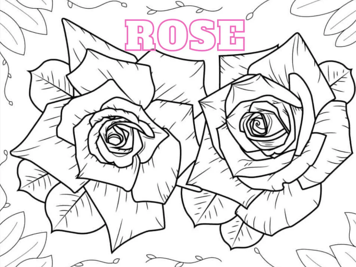 coloriage Rose à imprimer gratuitement