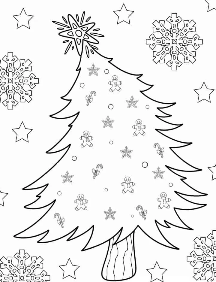 coloriage Sapin educatif pour enfant