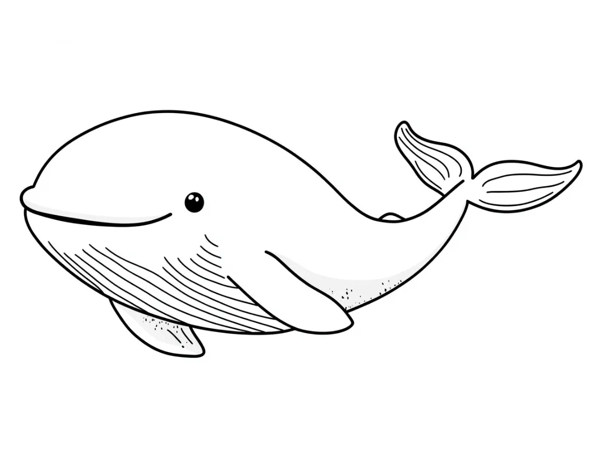 coloriage Baleine a colorier en ligne