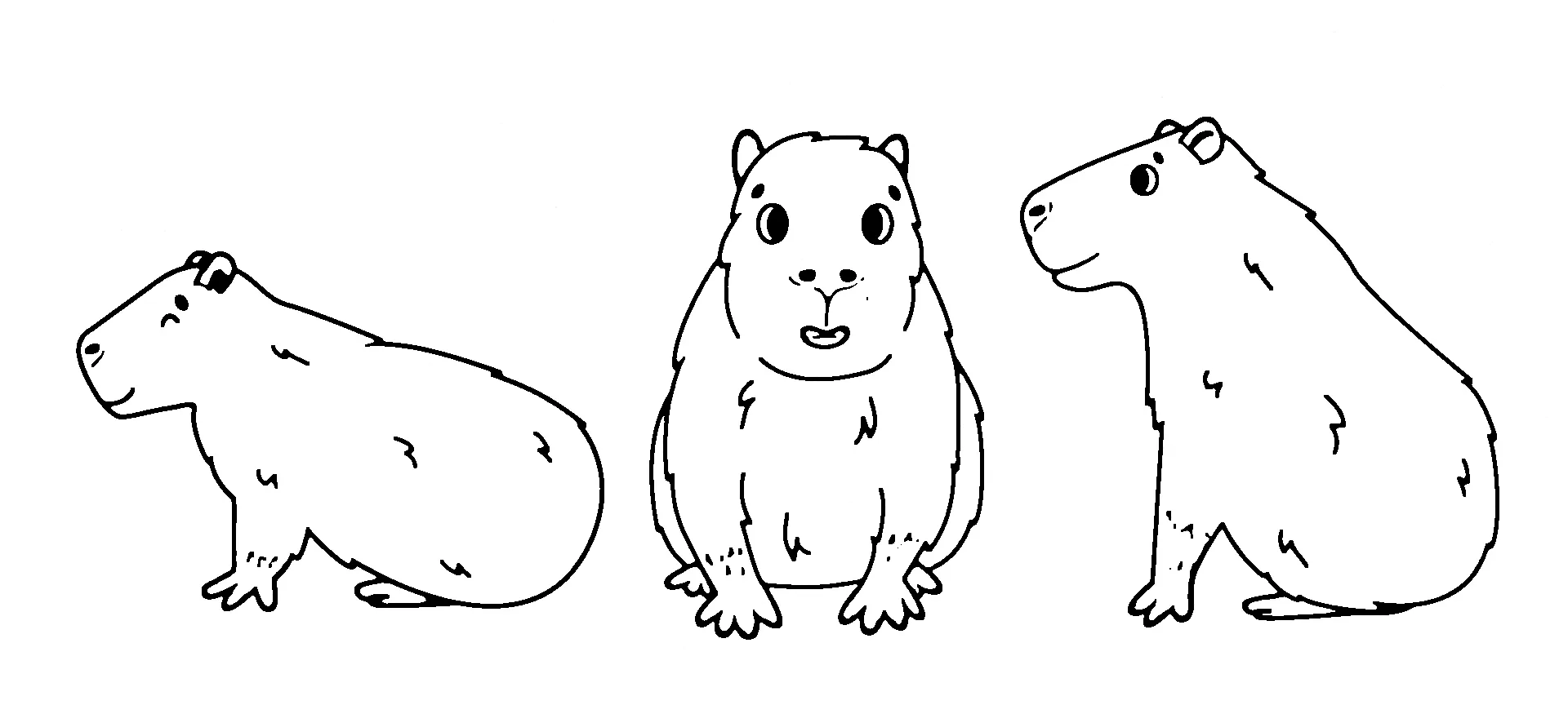 coloriage Capybara à imprimer kawaii