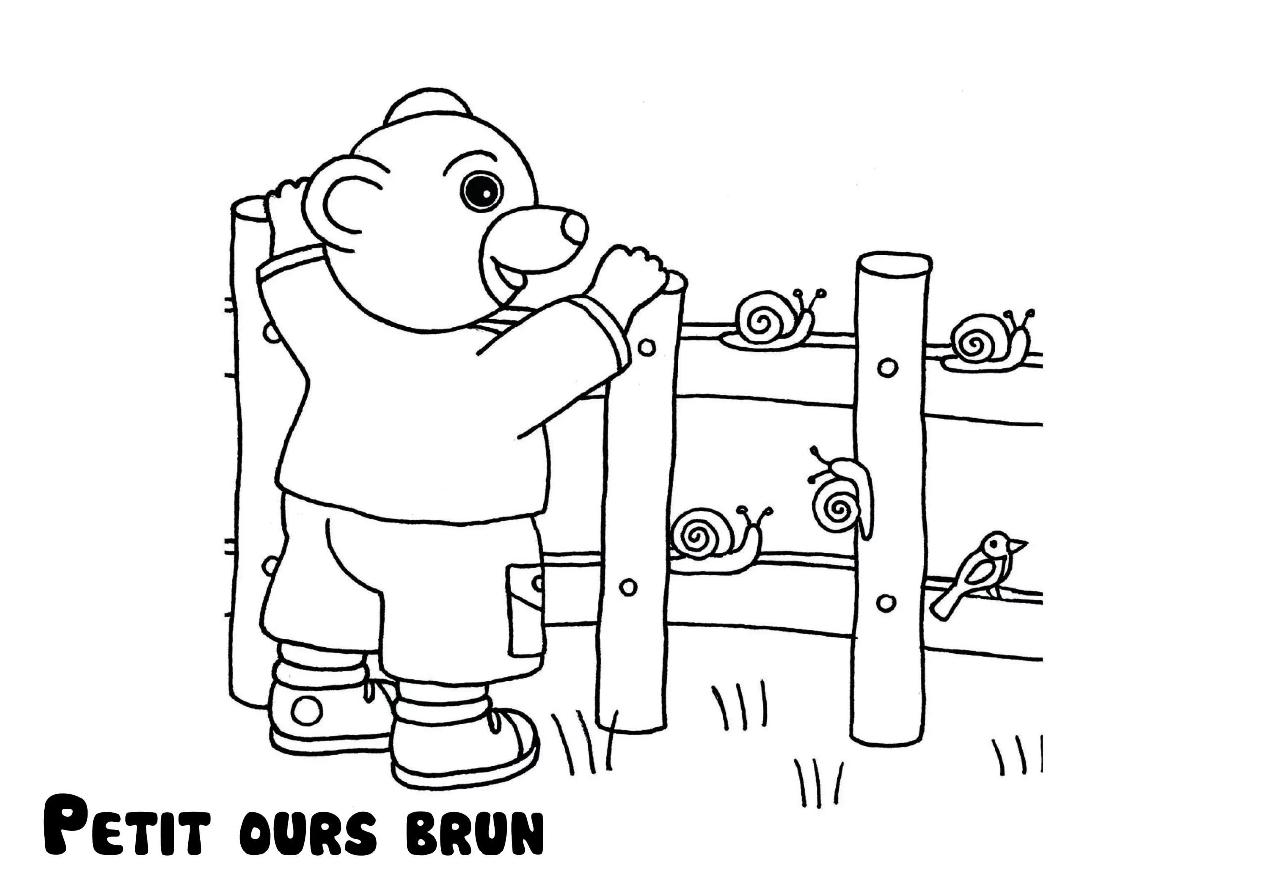 coloriage Petit Ours Brun gratuit