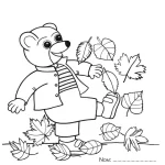 Petit Ours Brun