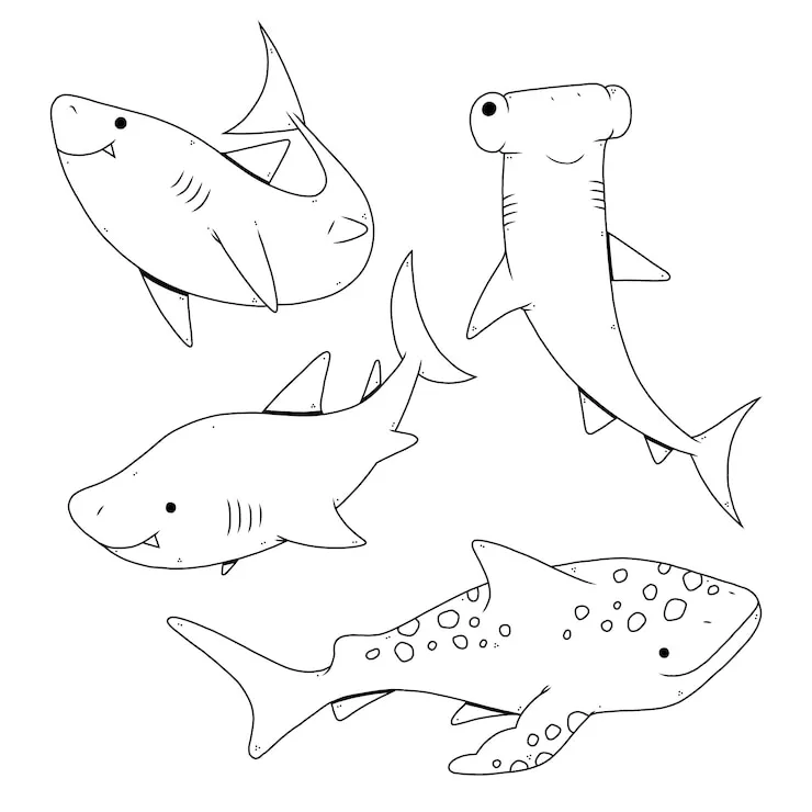 coloriage Requin à imprimer pour enfant de 6 ans