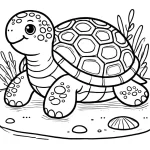 tortuga